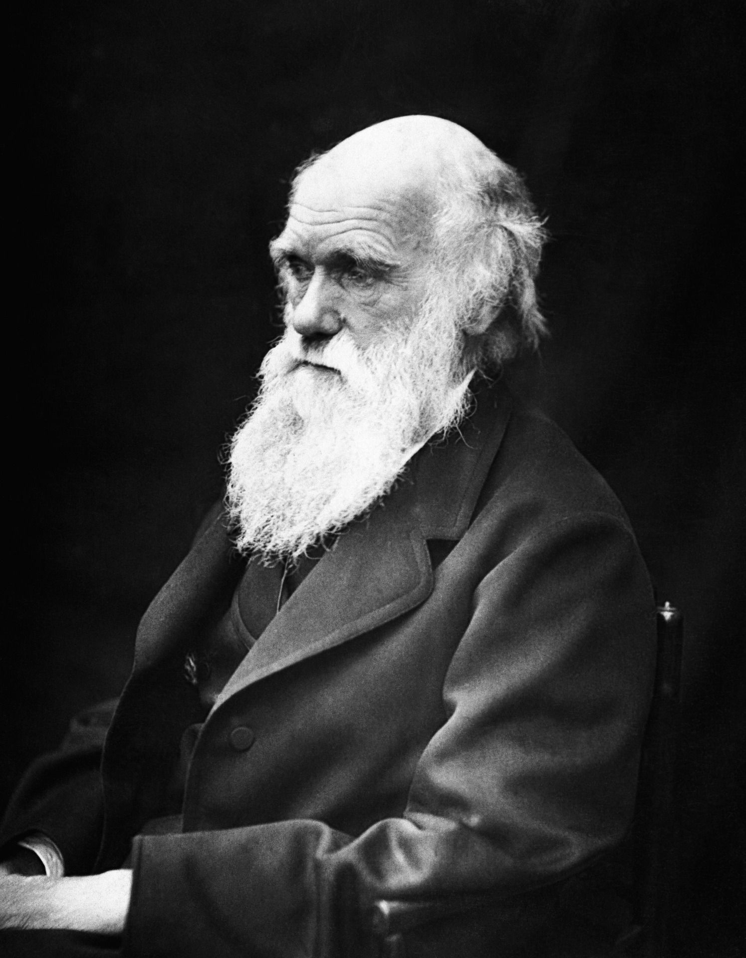 charles robert darwin pixabay free