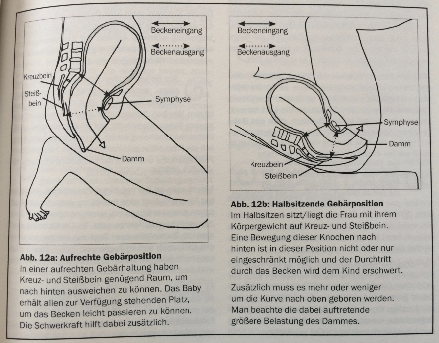 gebaerhaltungen aufrecht skizzen sarah schmid alleingeburt 2014 seite81