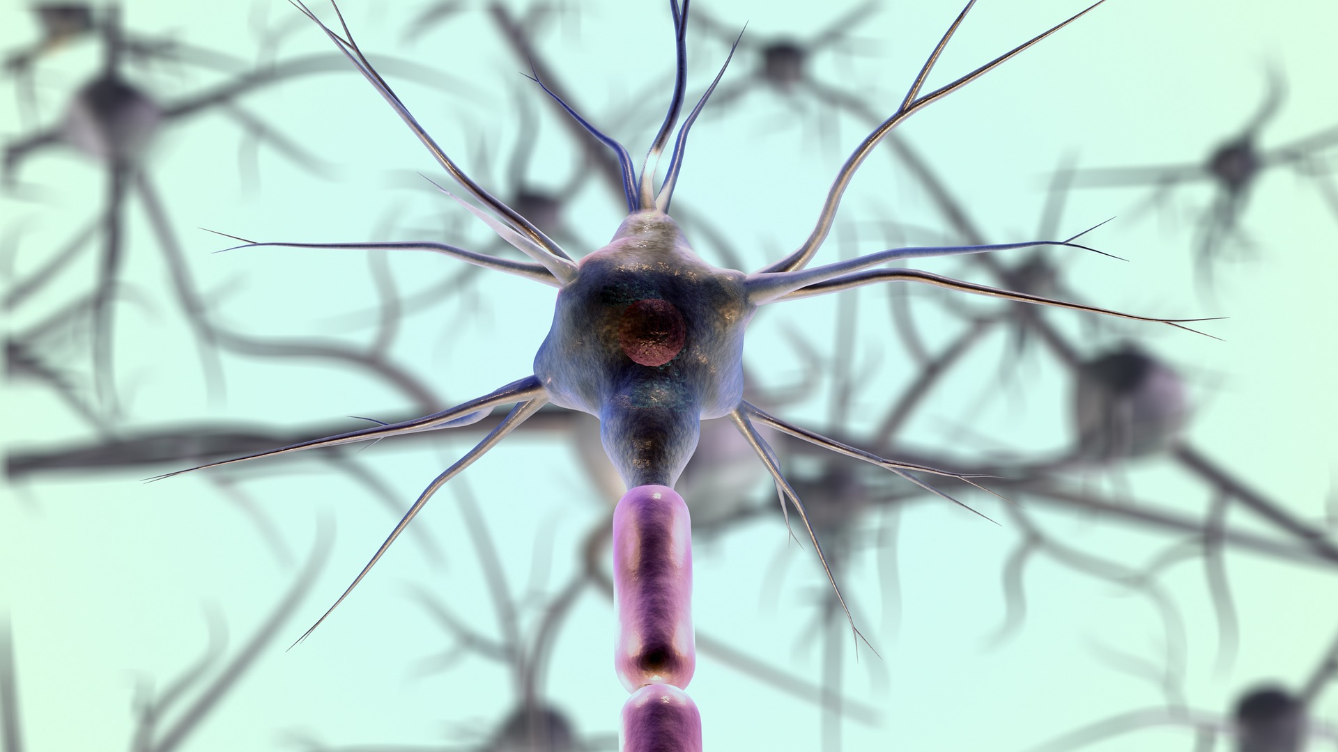 neurons pixabay free