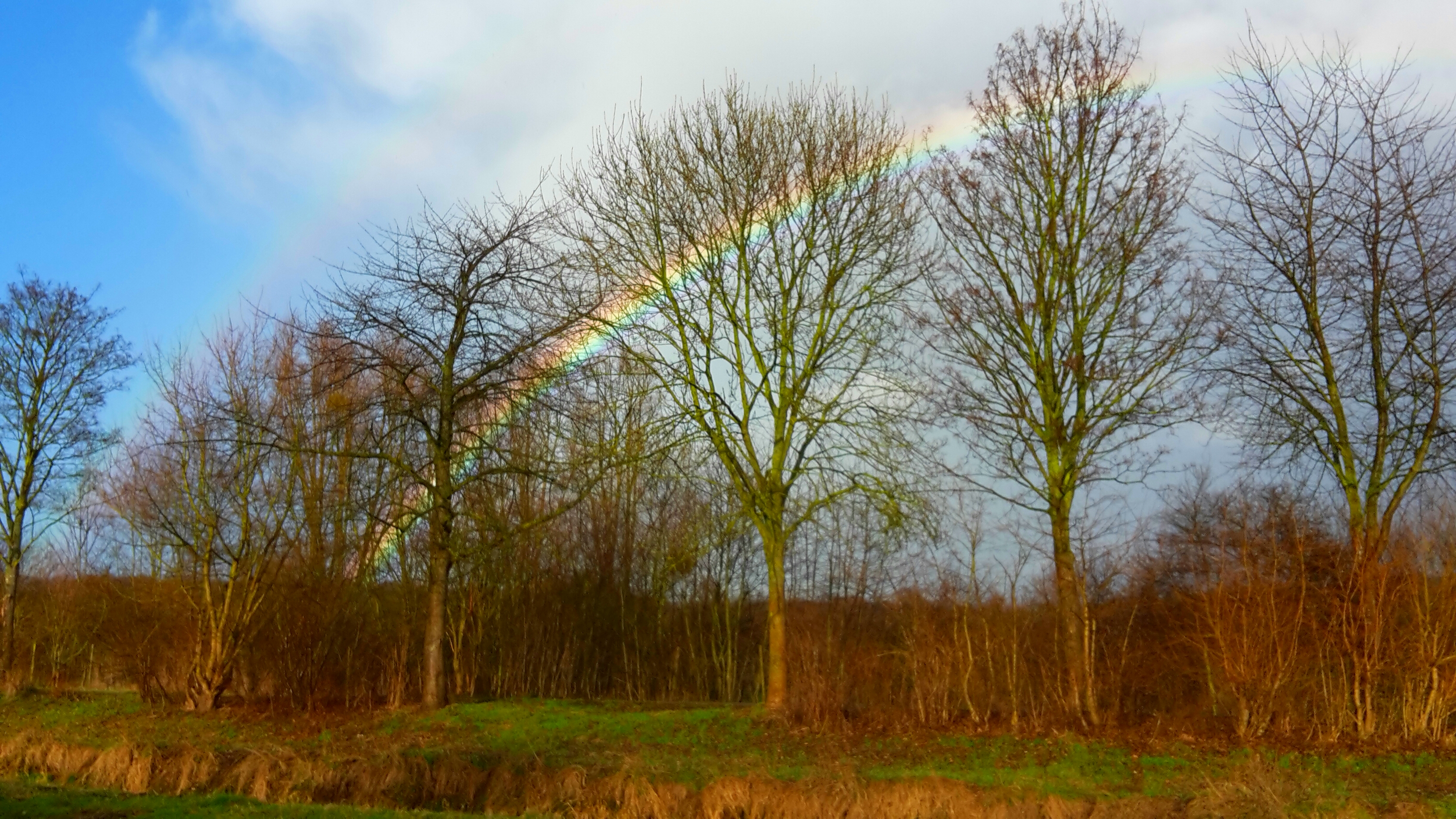 Regenbogen N E Fuß